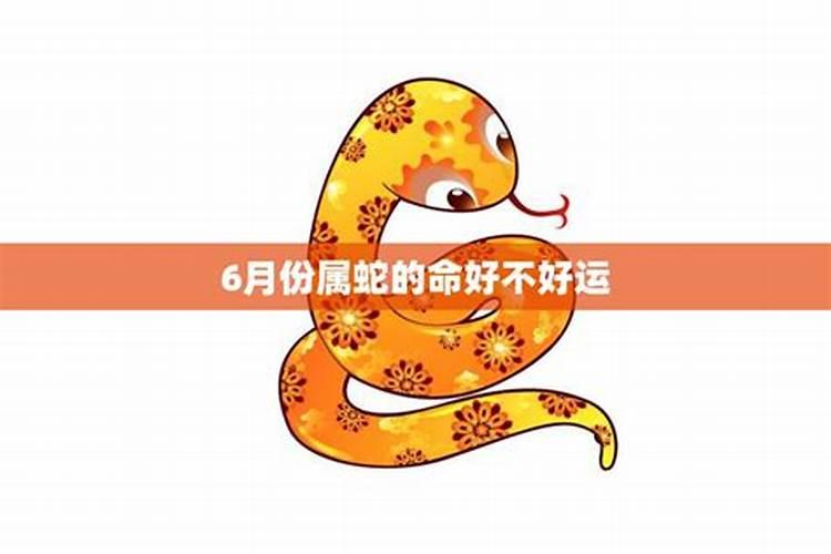 7月份出生的蛇运势怎样