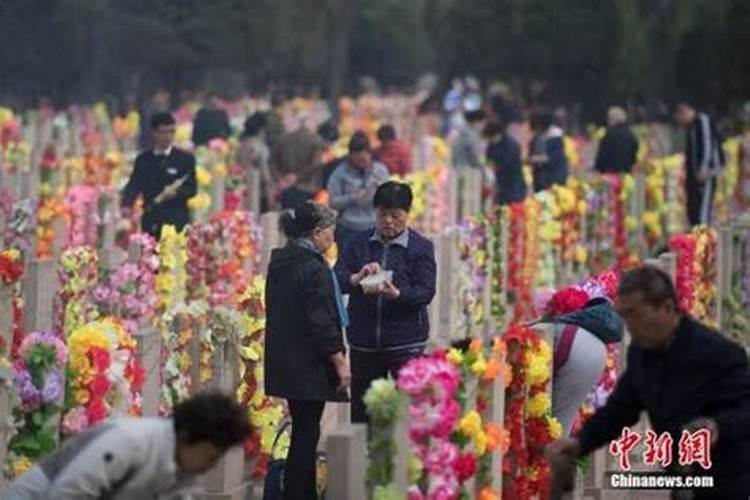 清明祭扫踏青