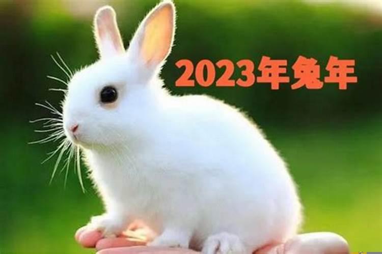 2021年的流年运势