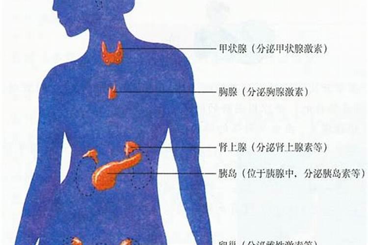 婚配忌讳女大一女大一坚决不娶