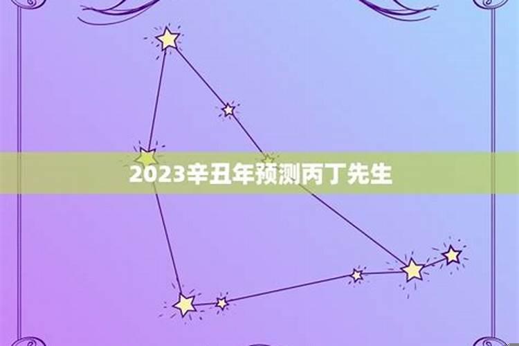 辛丑日柱在2022年运势