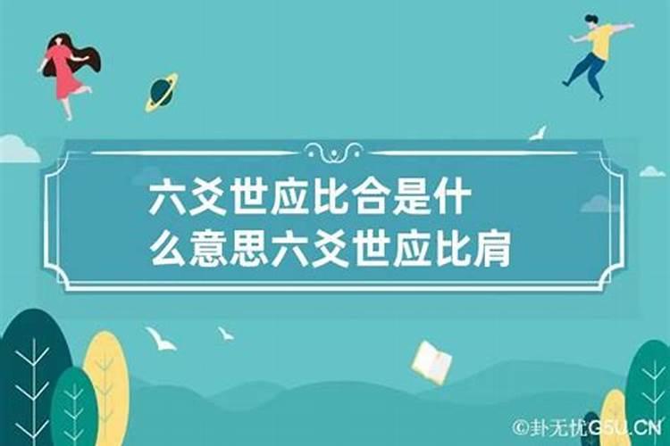 体用比合是什么意思