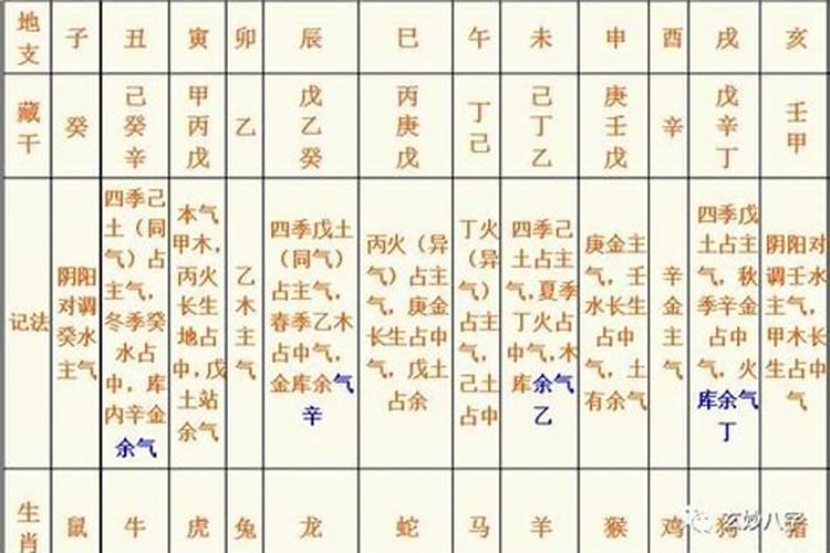 八字算命看乾造