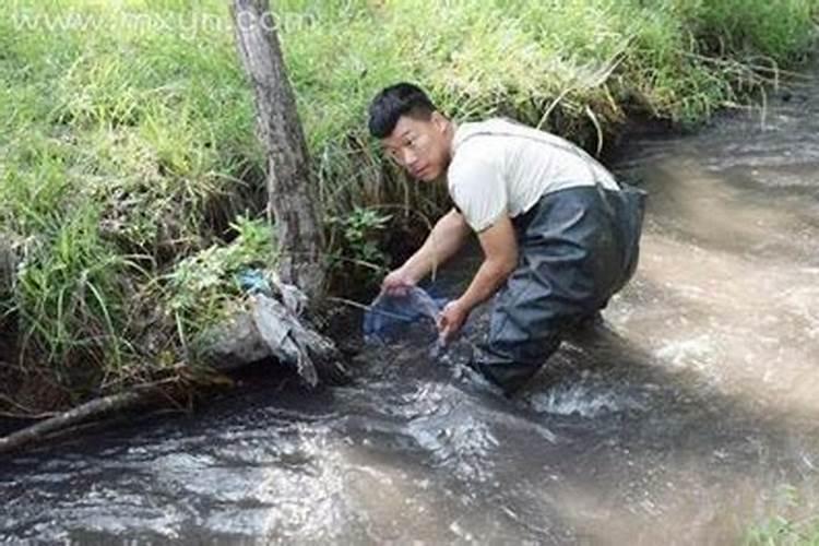 梦见在河里抓鱼是什么征兆