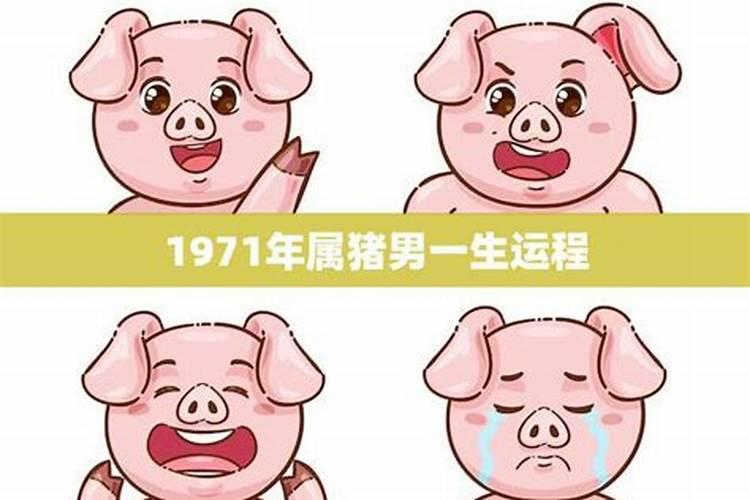 1971属猪一生运程如何