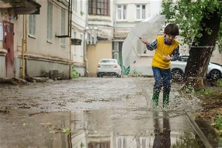 梦见下雨地上很多水