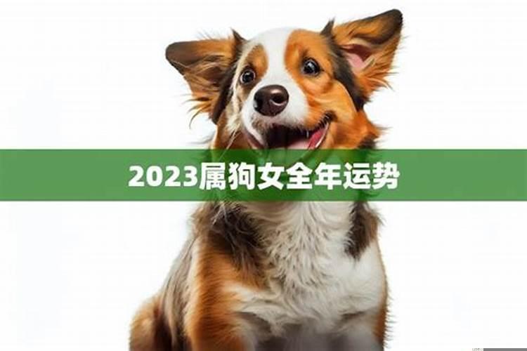 属狗女2023年腊月运势