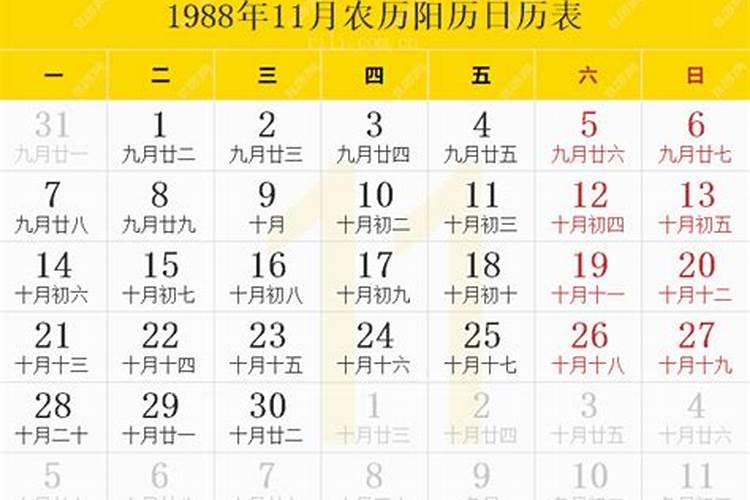 1988年龙女3月11一生的运势