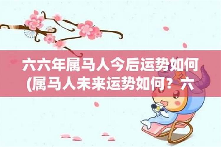 六六年出生二月马今年运势