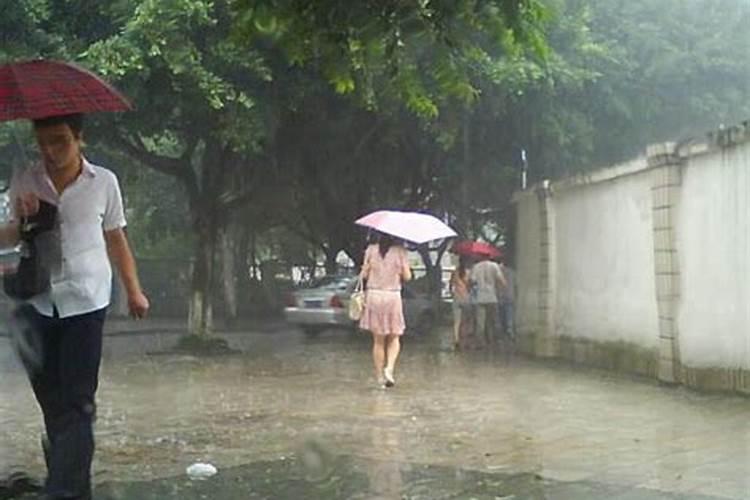 梦到下大雨水里有大鱼