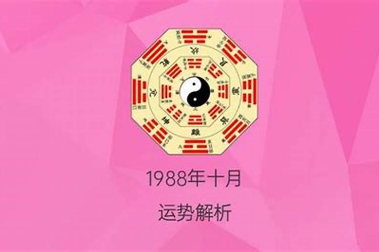 1999年属龙兔今年运势