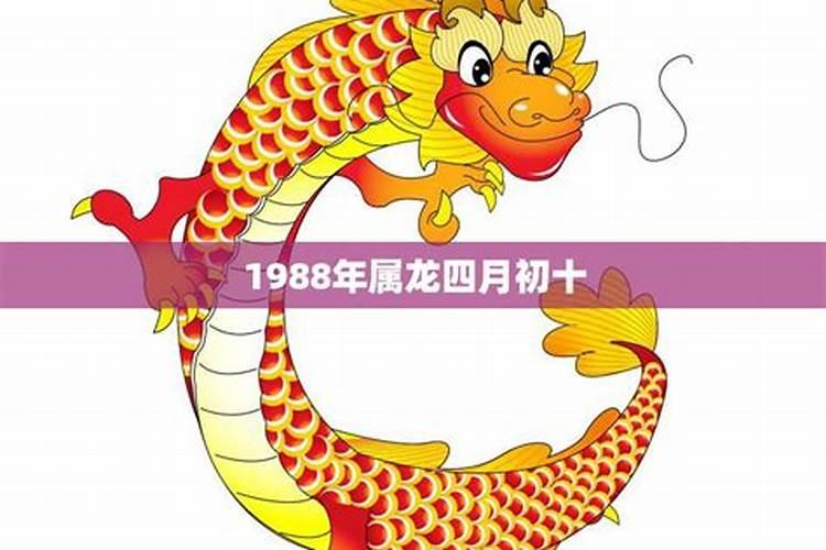 1988四月初七今年运势属龙