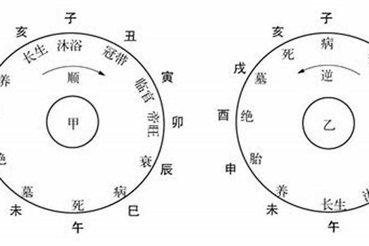 五行生旺死绝解析