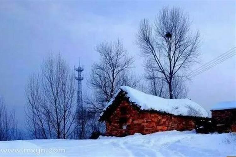 梦见满地大雪是什么预兆