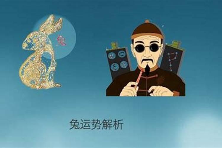 属兔的今年的运程好不好