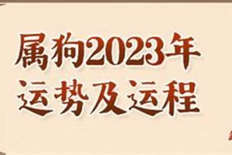 82属狗2023运势