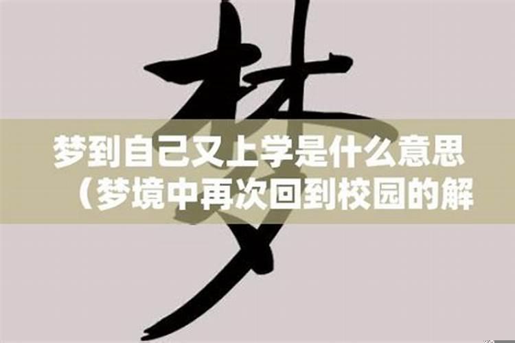 梦到自己又回初中上学