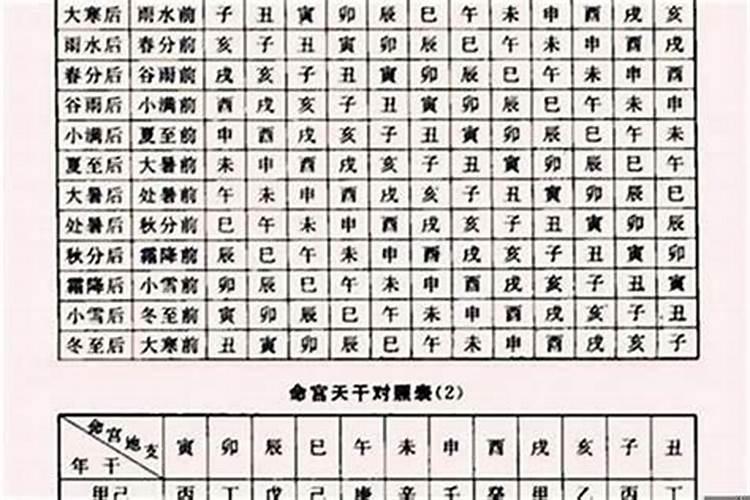 八字里的地支怎么看