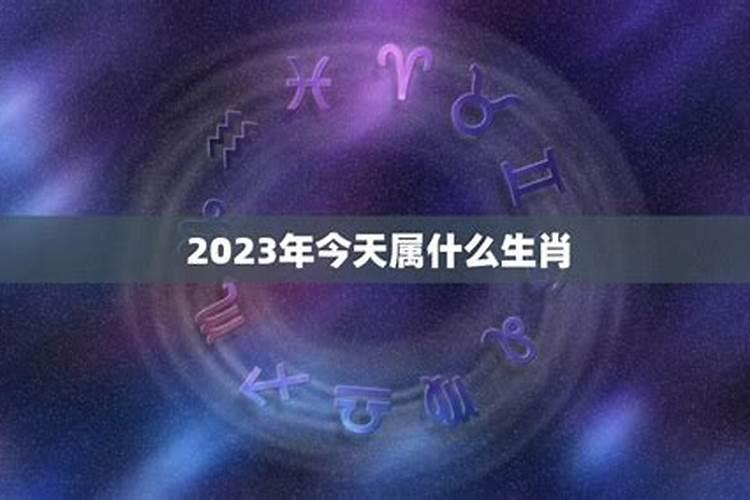 2023属什么生肖运气最好