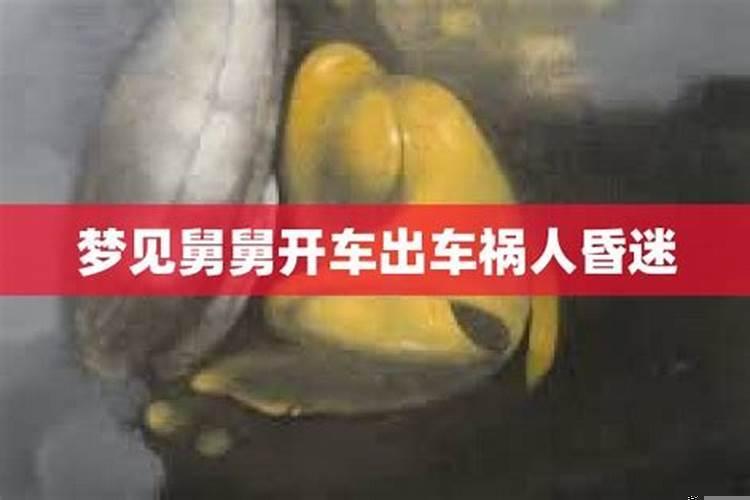 连续梦到开车出车祸