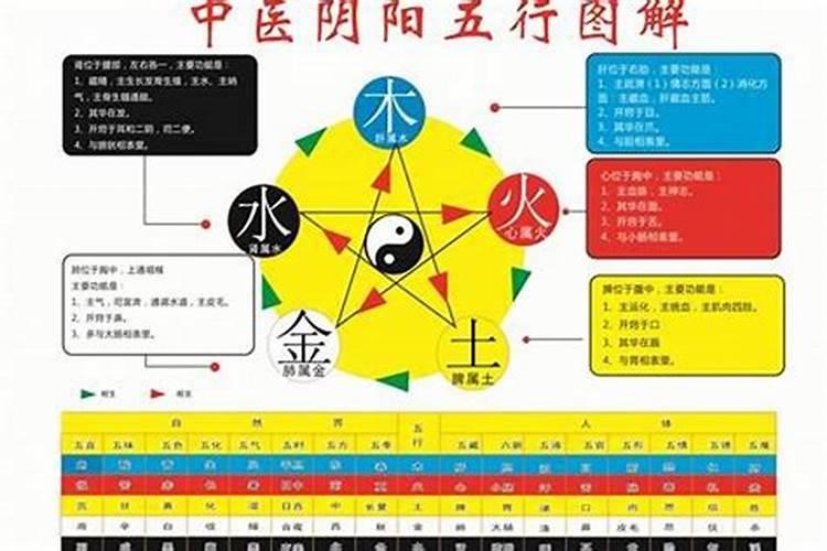 纳音五行算命关系详解