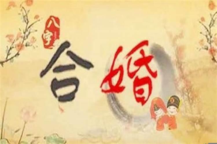 八字测试两人姻缘