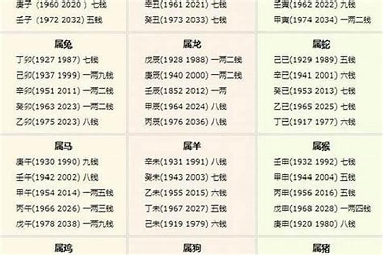 2023几两几钱算命对照表六两五钱