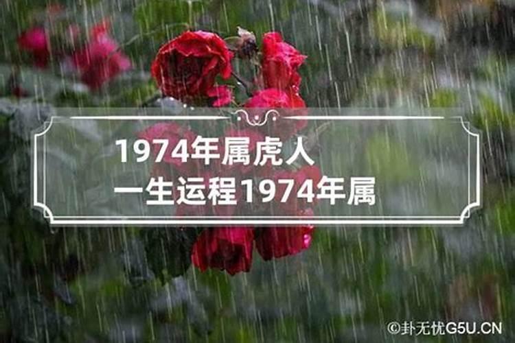 1974属虎人一生运程