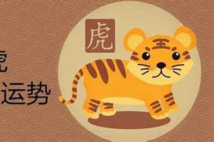 猪年犯太岁有哪些生肖