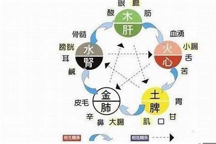 五行水旺缺金人的命运