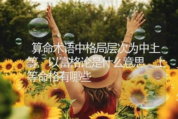 上等命格是什么意思