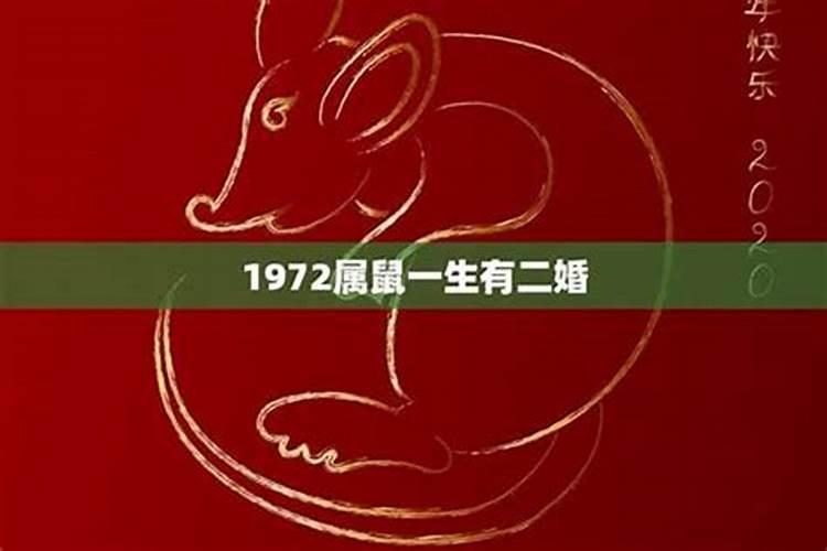 1984年鼠的感情运势如何