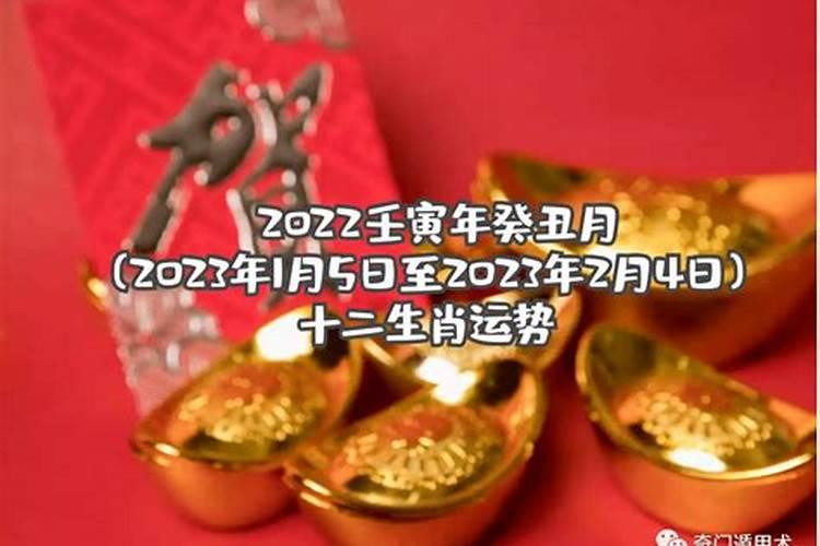 癸丑日主2022年运势