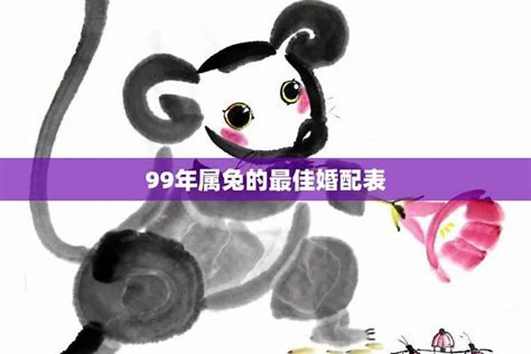 99年属兔的和01的蛇今年婚姻会怎样样