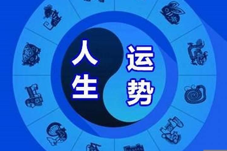 八字中比劫代表什么意思