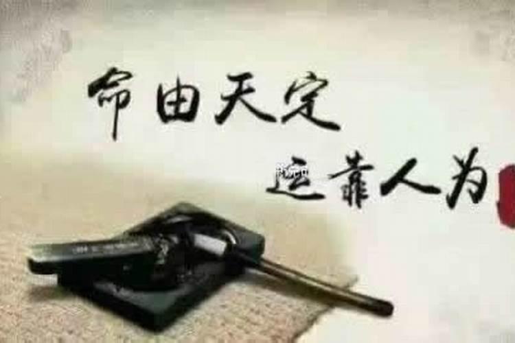 八字查神煞大全