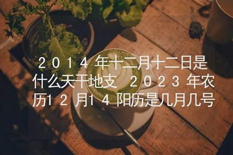 农历12月14日属于什么星座呢