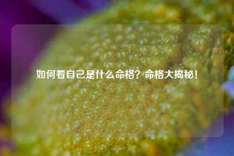 如何看自己什么命