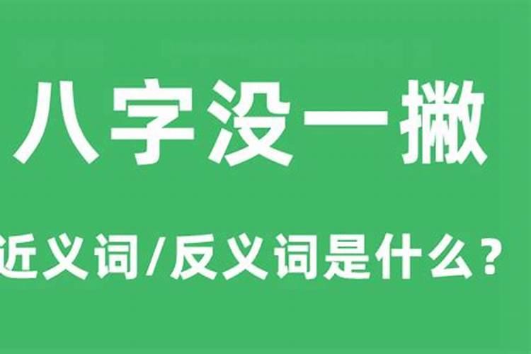 八字还没一撇下一句怎么接