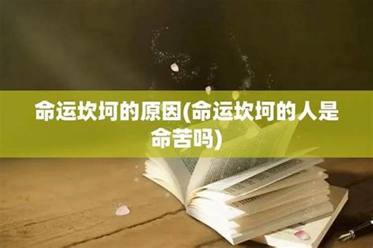 命里有天医可以做医生吗