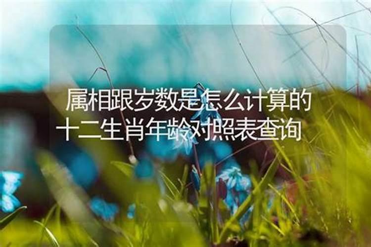 怎么查属相计算年龄