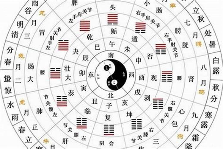 五行中的阳木和阴木是什么意思