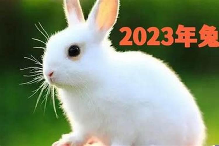 2023年流年运势分析