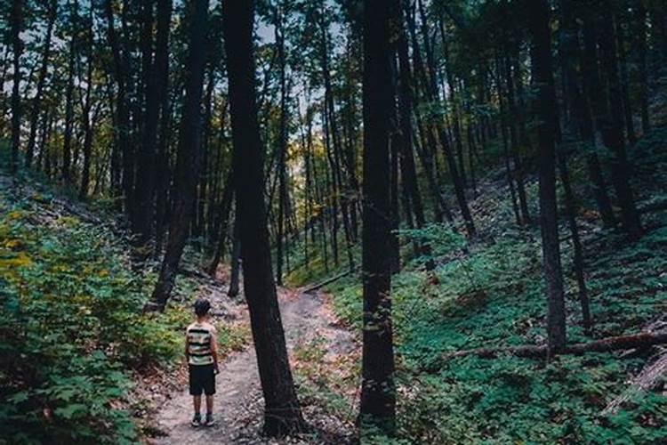 梦见到了陌生地方问路