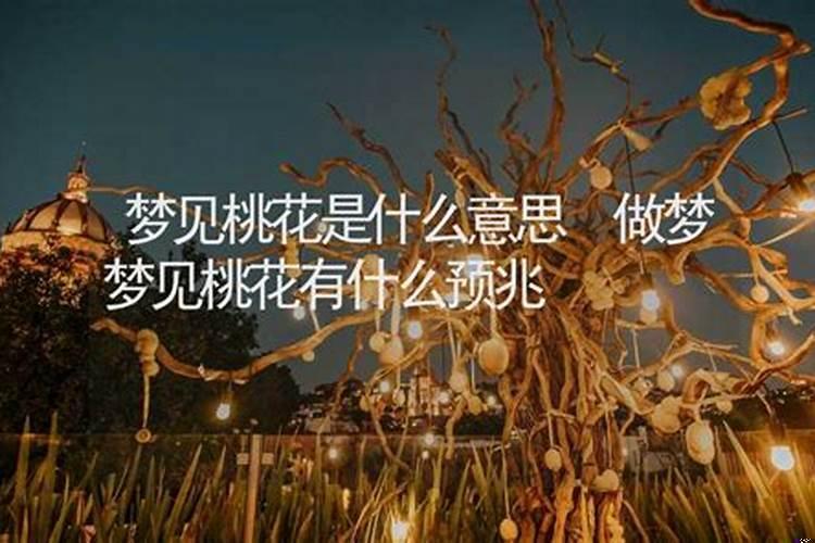 命犯桃花运是什么意思