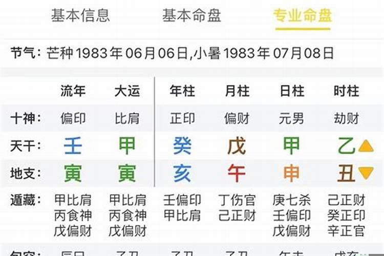 癸亥癸亥丙午戊子男八字