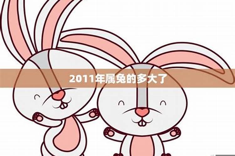 2023年属兔多少岁