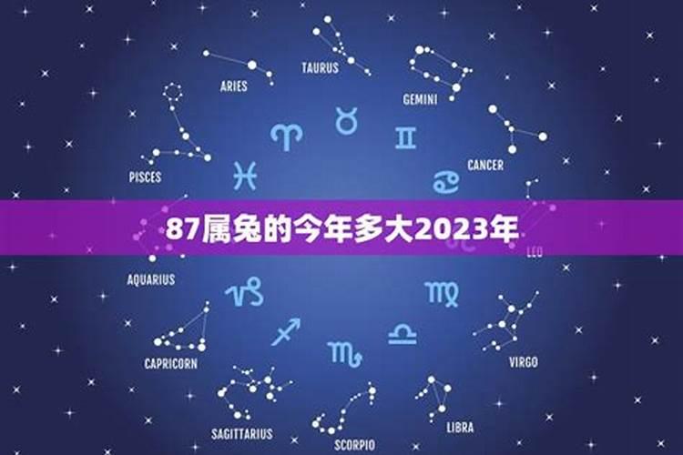 2023年属兔的今年多大岁数