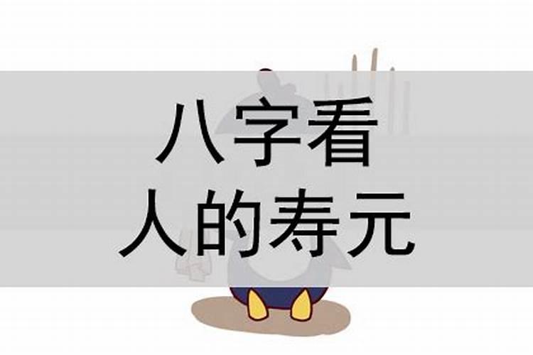 如何看寿元