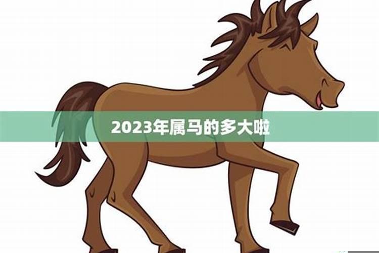 2023年属马是什么太岁呢